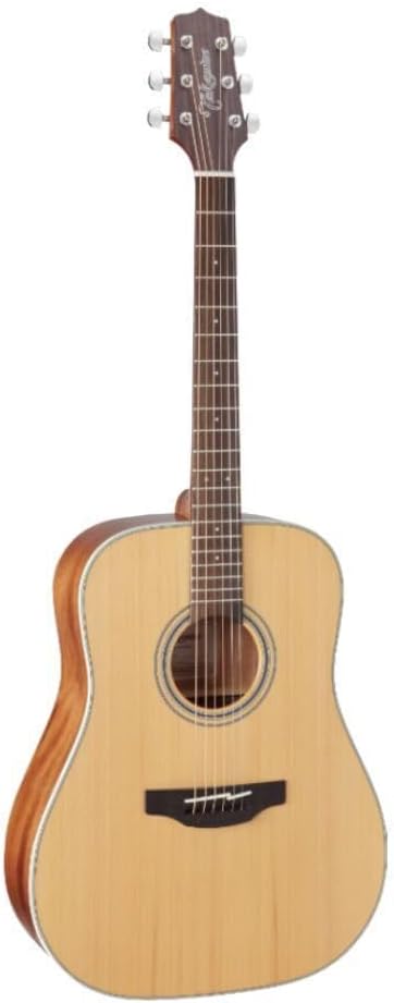 Takamine GD20-NS - Natural Satin