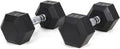 JHshop Pair 25LB Iron Dumbbell, Strength Training,Dumbbell Weight Pairs, Exercise Weight Training,HDRS Rubber Coated Solid Cast Iron Dumbbell (2piece)
