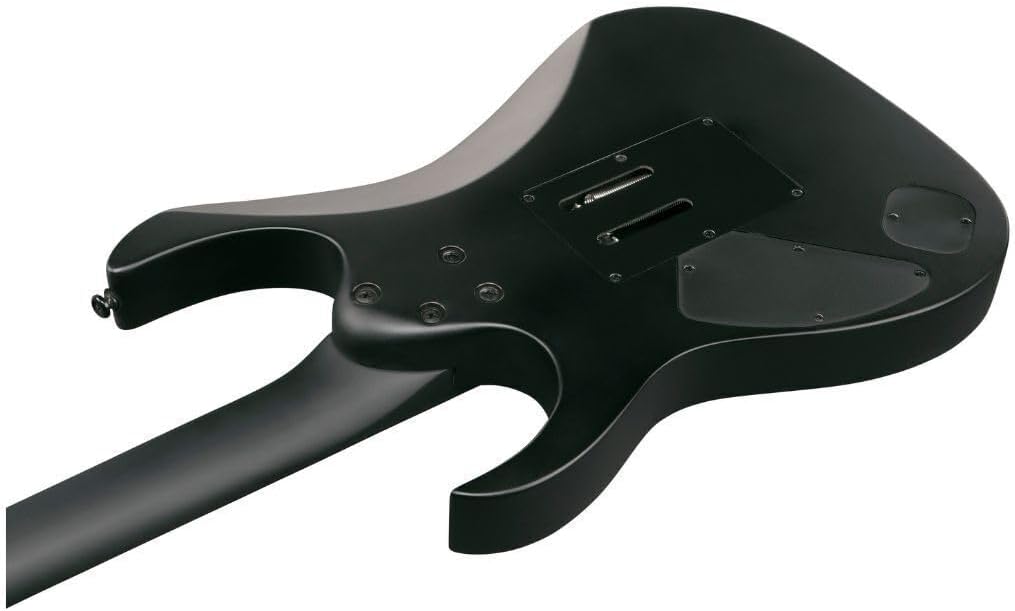 Ibanez Iron Label RGRB620 Electric Guitar - Black