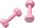 Dumbells Sports and fitness dumbbells suitable for home fitness equipment sports strength training small dumbbells pair Dumbell Set