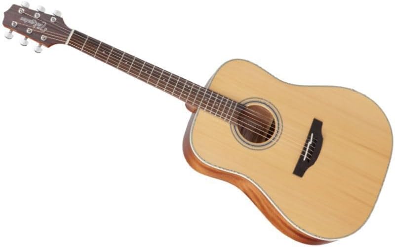 Takamine GD20-NS - Natural Satin