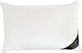 THE COTTON & SILK 100% Mulberry Silk Filled Pillow Insert – Queen Size, Ultra-Soft, Breathable, Hypoallergenic, Luxury Plush Support for Better Sleep