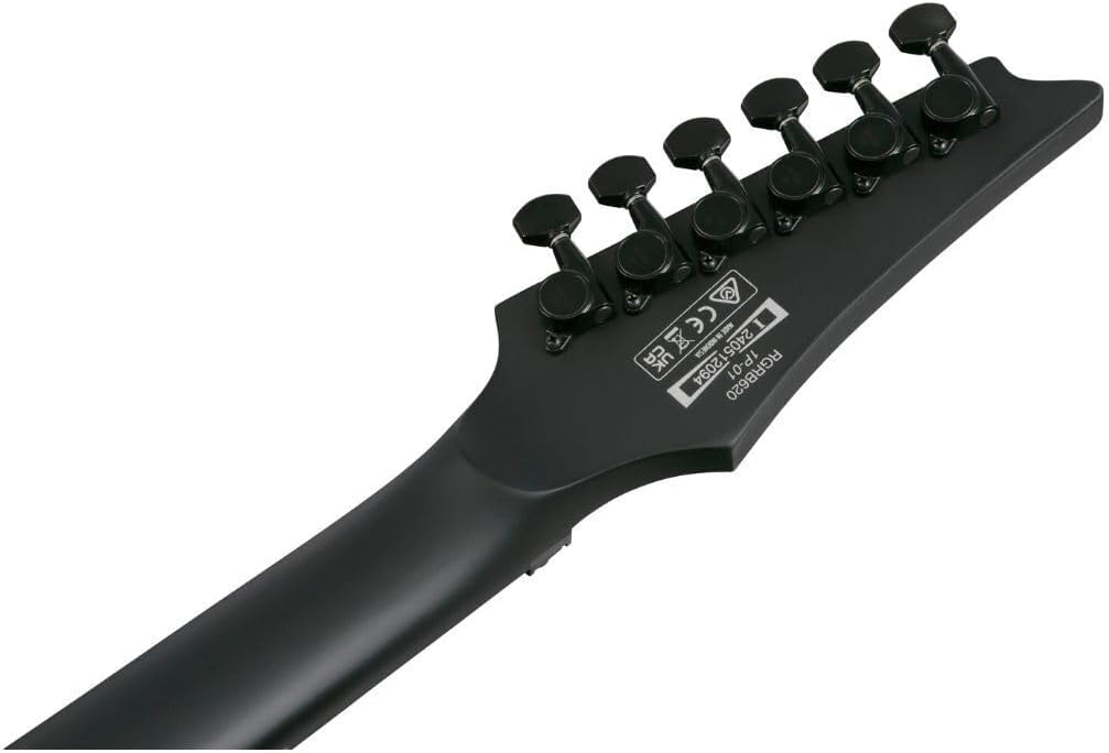 Ibanez Iron Label RGRB620 Electric Guitar - Black