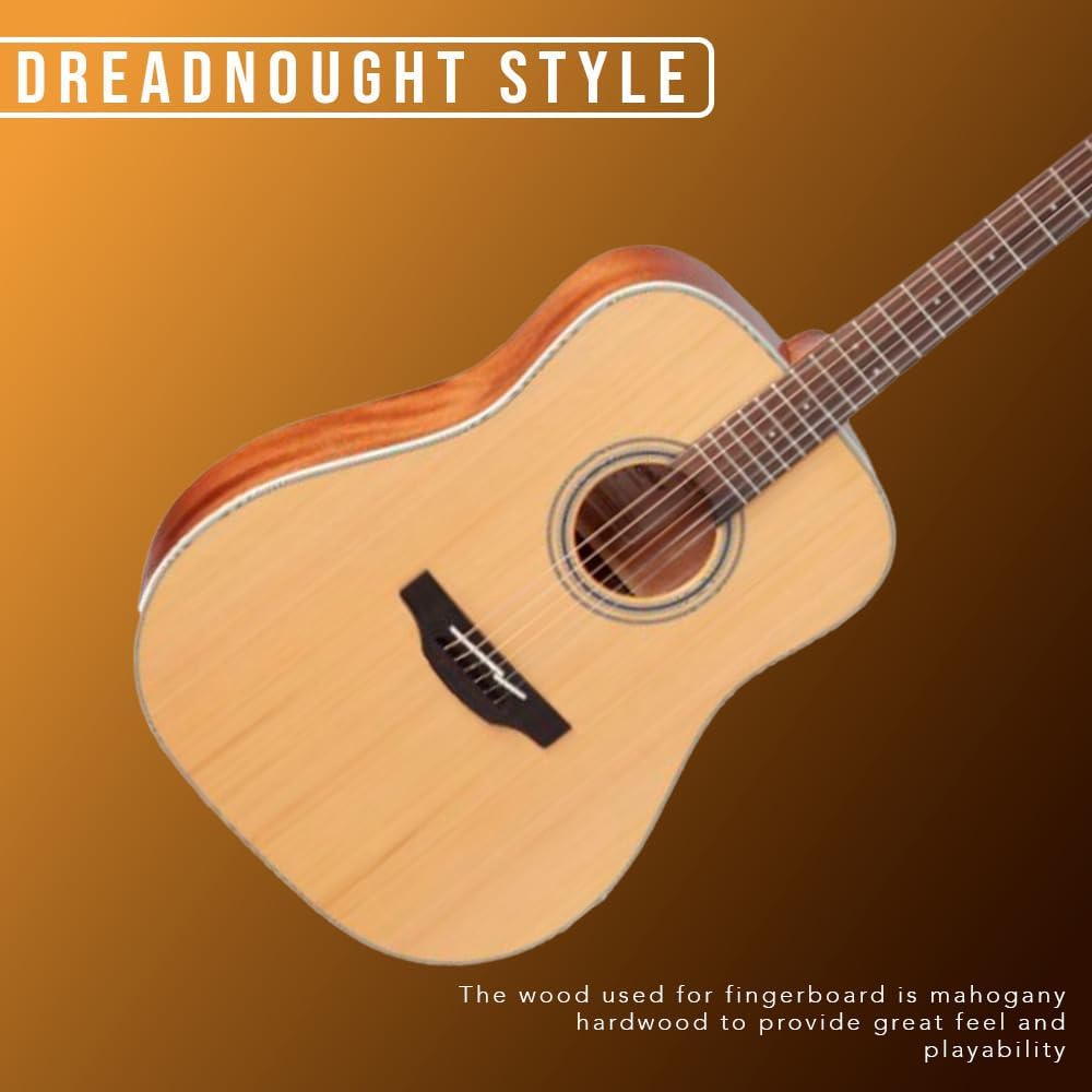 Takamine GD20-NS - Natural Satin