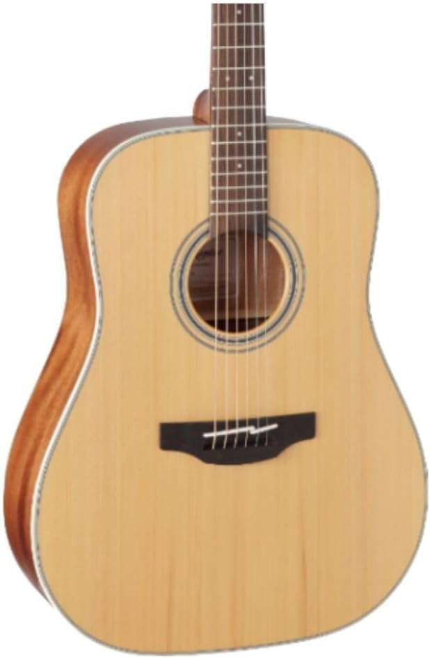 Takamine GD20-NS - Natural Satin