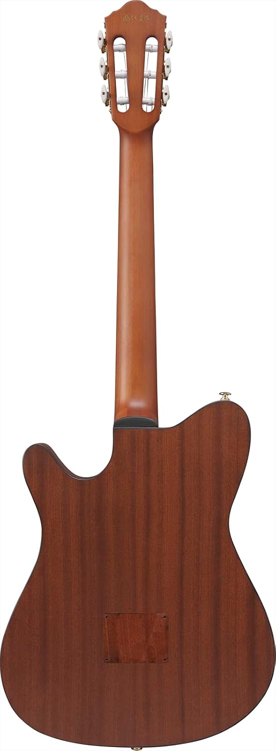 Ibanez FRH10N Thinline Nylon Acoustic-electric Guitar - Natural