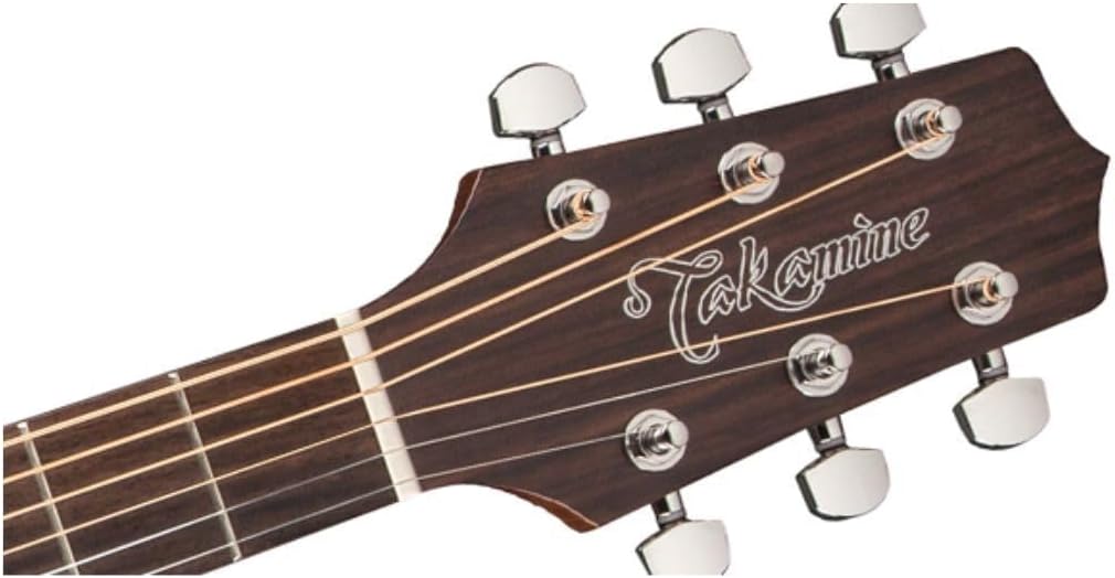 Takamine GD20-NS - Natural Satin