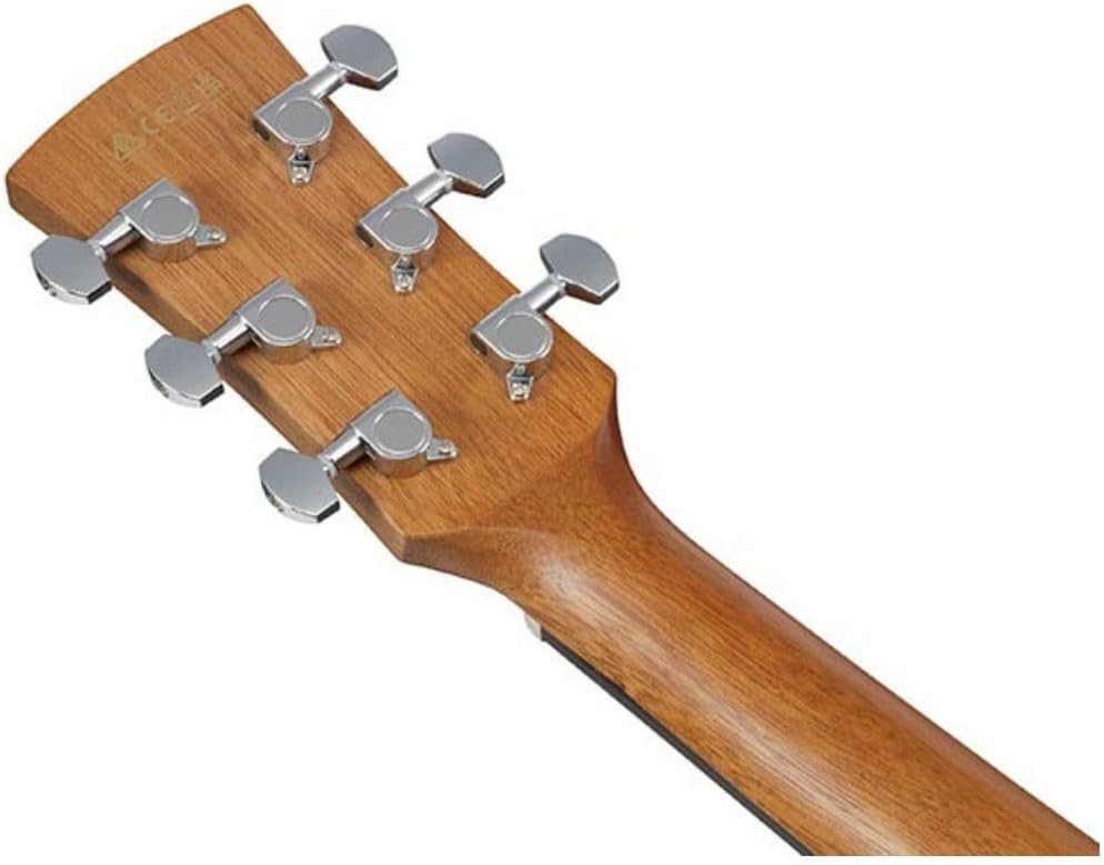 Ibanez PC50WSCE Acoustic-electric Guitar - Open-pore Natural