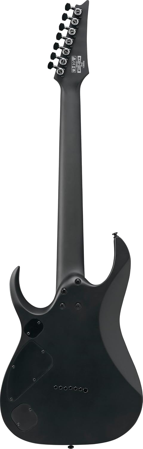 Ibanez RGDRB71 Iron Label 7-String Right-Handed Electric Guitar with Nyatoh Body, Roasted Maple Neck, and Ebony Fingerboard (Black Flat)