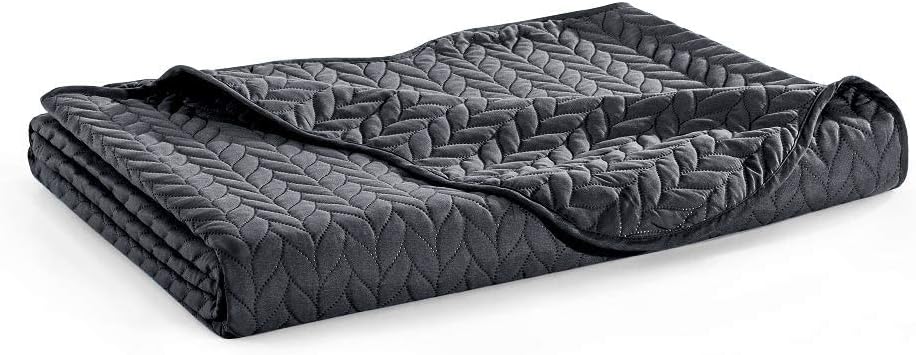 MOONLIGHT20015 Twin Quilt Set (66' x 86') with 1 Pillow Sham (20' x 26'+2') for All Season - 2 Pcs Reversible Bedding Set Lightweight Microfiber Coverlet Embossed Pattern Quilted Bedspread (Charcoal)