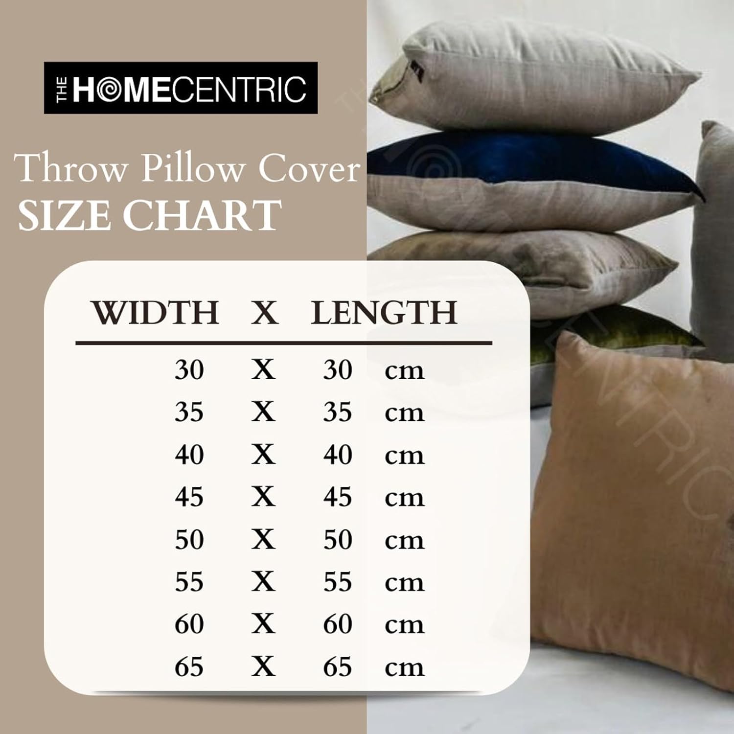 The HomeCentric Sham Pillow Cover, Silver Euro Sham Covers, Pack of 2, 26x26 inch (65x65 cm) Silk Euro Shams, Pillow Covers Lace & Sequins & Embroidered, Abstract, Modern Style Pillow - Vanilla Lace
