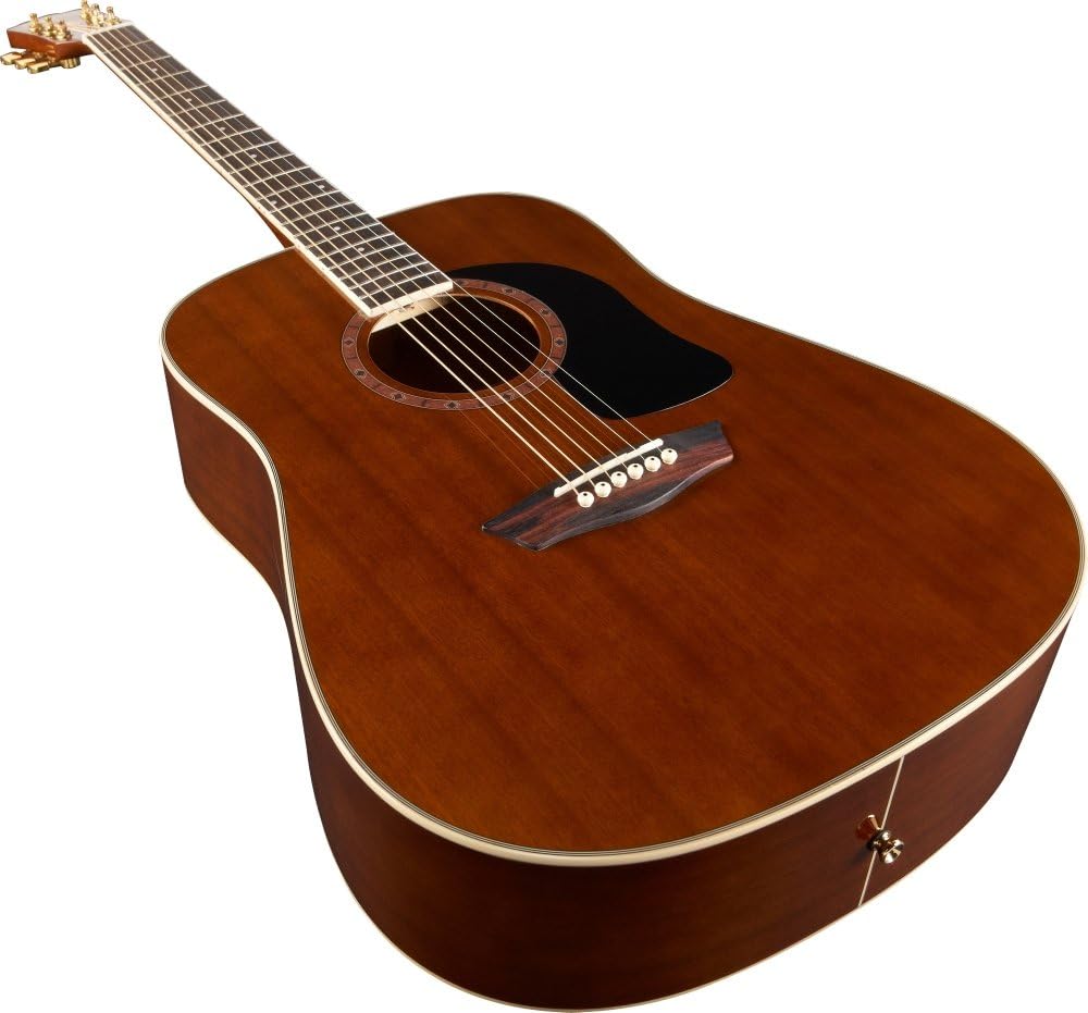 Washburn WD100DLMK Apprentice Dreadnought Acoustic Guitar, Natural Gloss