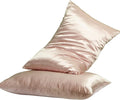 2 Pack Silk Pillowcase, Both Sides 100% Mulberry Silk Pillow Case for Hair & Skin, Pure Natural Satin Pillow Cases with Hidden Zipper, Soft,Cozy and Breathable Silk Pillow Cover,20''×30'',Pink