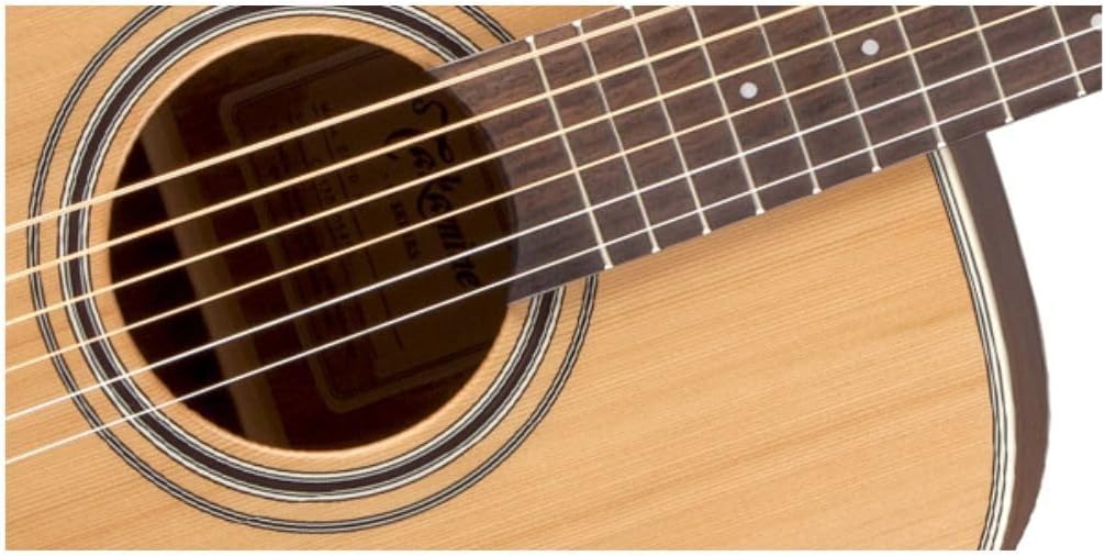 Takamine GD20-NS - Natural Satin