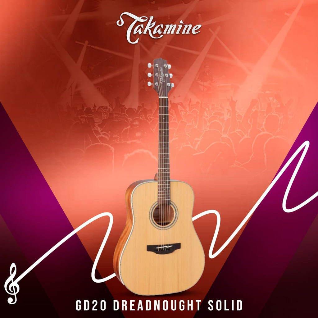 Takamine GD20-NS - Natural Satin