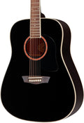 Washburn WD100DLBK Apprentice Dreadnought Acoustic Guitar, Black Gloss