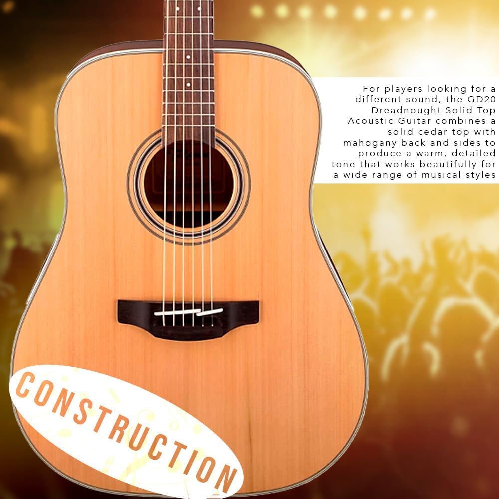 Takamine GD20-NS - Natural Satin