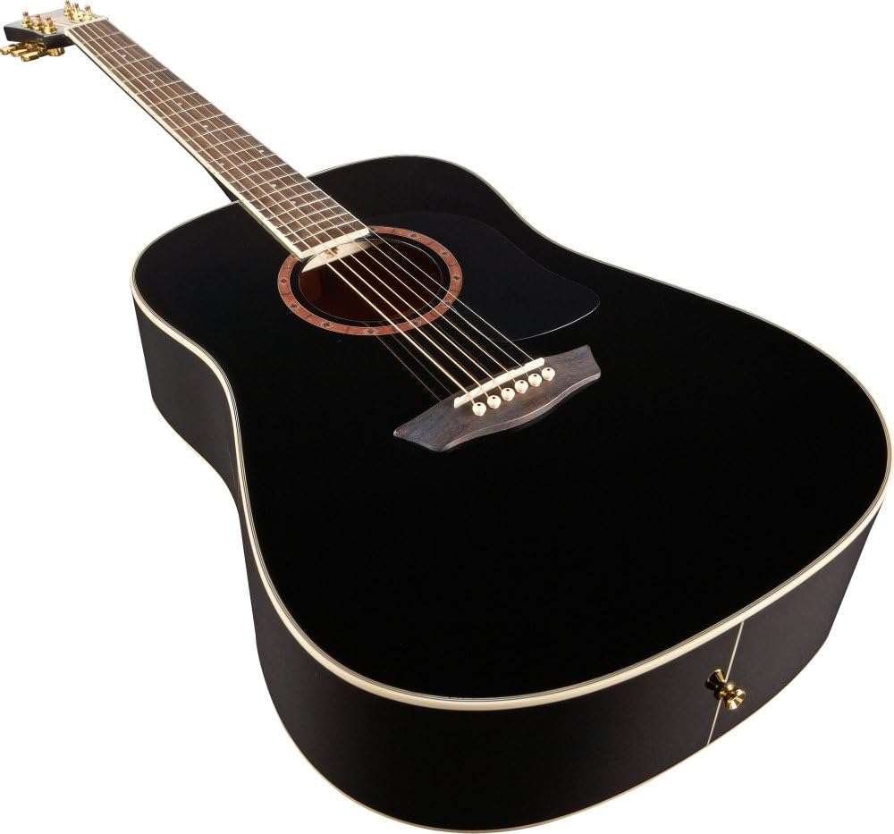 Washburn WD100DLBK Apprentice Dreadnought Acoustic Guitar, Black Gloss