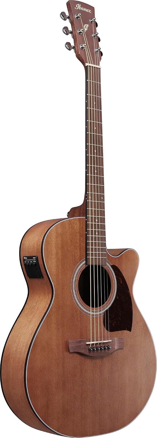 Ibanez PC54CE Acoustic-electric Guitar - Natural