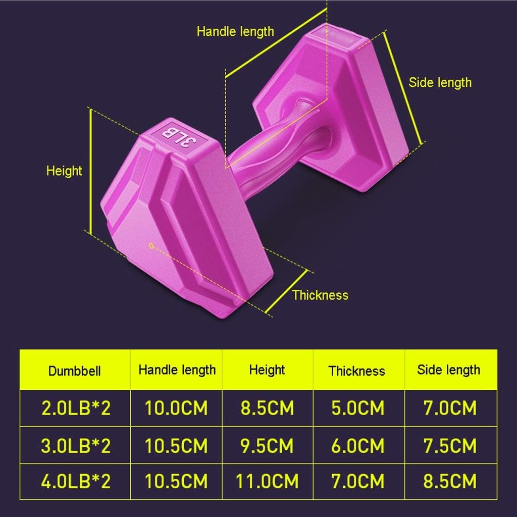XuYuanjiaShop Ladies Small Dumbbell Home Fitness Equipment Rubber Coated Dumbbell Hand Weight Suitable for Bodybuilding, Yoga, Thin Arms, Pair (Color : Red, Size : 3lb2)