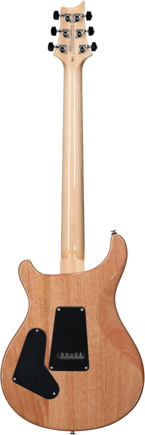PRS SE Custom 24 Exclusive, Blue Matteo Natural Back