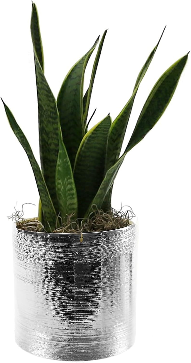 WGVI Silver Etched Ceramic Cylinder Vase Width 5.5' Height 5', Flower Arrangement, Candle Holder, Terrarium Planter Pot, Storage Container Organizer, Pen Brush Holder, Scratched Texture Design, 12 Pc
