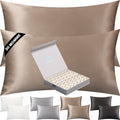 Silk Pillow Cases 2 Pack - 30 Momme Grade 6A Pure Mulberry Silk with Zipper - Cooling Hypoallergenic for Hair & Skin (Taupe, King)