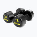 ZIVA RPU Tribell Dumbbell Pair – Premium Urethane-Coated Hand Weights with Ergonomic textured Grip & Steel Core – 2–20 lb Sets in Multiple Colors for Strength Training