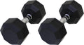 Ader 2-100LB Octagon Deluxe Professional Rubber Dumbbell, Pair