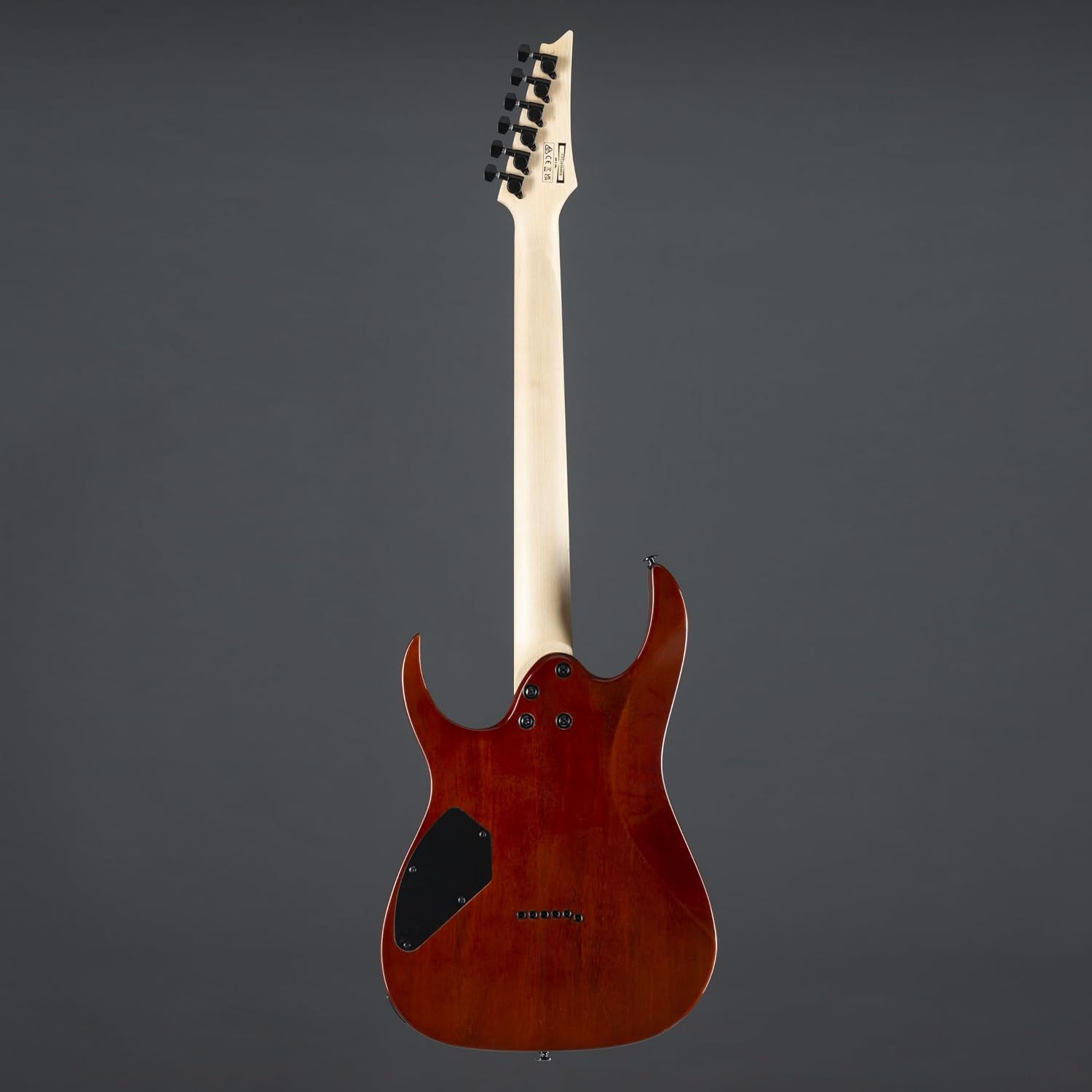 Ibanez GIO GRGR221PA Electric Guitar - Aqua Burst