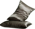 2 Pack Silk Pillowcase, Both Sides 100% Mulberry Silk Pillow Case for Hair & Skin, Pure Natural Satin Pillow Cases with Hidden Zipper, Soft,Cozy and Breathable Silk Pillow Cover,20''×30'',Gray