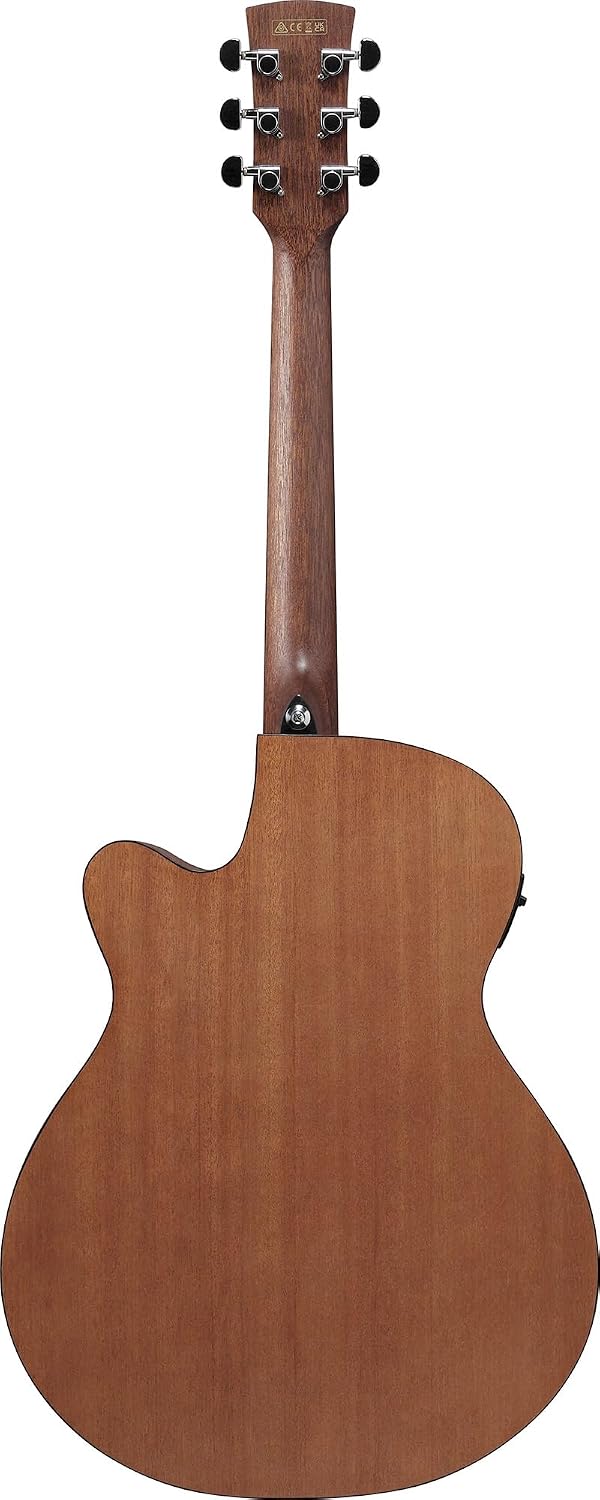 Ibanez PC54CE Acoustic-electric Guitar - Natural