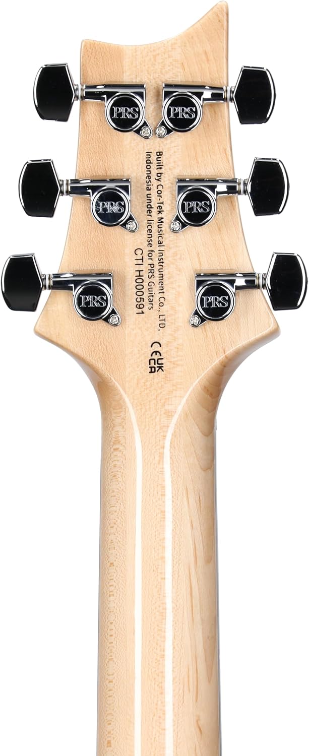 PRS SE Custom 24 Exclusive, Blue Matteo Natural Back