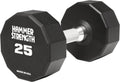 Hammer Strength 12 Sided Urethane Dumbbell 25Lb (1 Dumbbell)