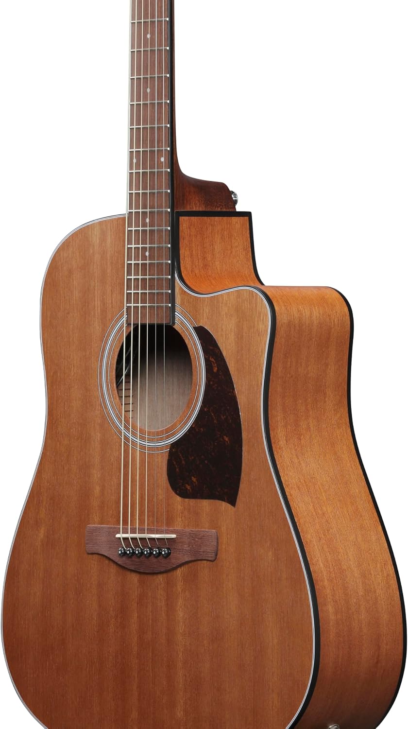 Ibanez PF54CE Acoustic-electric Guitar - Natural