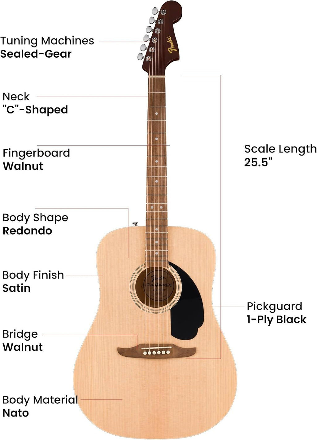 Fender Dreadnought Acoustic Guitar - Natural Bundle with Gig Bag, Tuner, Strings, Picks, and Austin Bazaar Instructional DVD