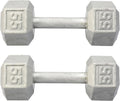 Hydra Fitness Exchange Cast Iron Hex Dumbbell 3 lb to 100 lb (in Single & Pair) - Solid Hexagon Silver Coating Dumbbell Set Strength Training Free Weights for Women & Men Residential Only