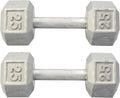 Hydra Fitness Exchange Cast Iron Hex Dumbbell 3 lb to 100 lb (in Single & Pair) - Solid Hexagon Silver Coating Dumbbell Set Strength Training Free Weights for Women & Men Residential Only