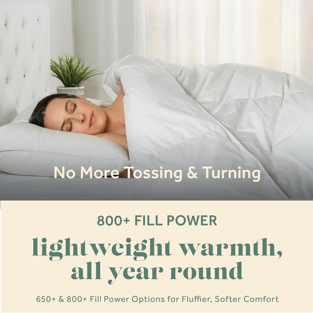 ComfyDown Goose Down White Comforter - Made in USA - 100% Egyptian Cotton 600 Thread Count Cover, 800+ Fill Power, Light Weight, All Season Washable Duvet Insert with Corner tabs - Queen