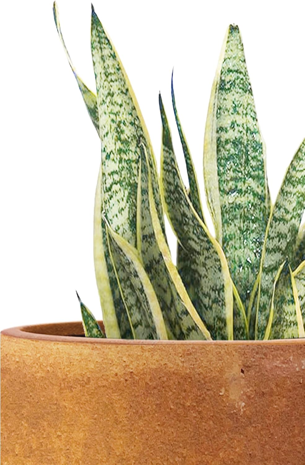 Kante 23.6' H Iron Oxide Finish Concrete Tall Planters (Set of 2), Large Outdoor Indoor Decorative Plant Pots with Drainage Hole and Rubber Plug, Modern Style for Home and Garden