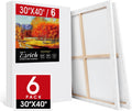 ESRICH Stretched Canvas for Painting 30x40 Inch, 6Pack Large Canvas for Painting, Primed Acid-Free Cotton Blank Canvases, Art Paint Canvases for Oil Paint,Watercolor,Acrylic Paint,Gouache and Tempera.