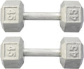 Hydra Fitness Exchange Cast Iron Hex Dumbbell 3 lb to 100 lb (in Single & Pair) - Solid Hexagon Silver Coating Dumbbell Set Strength Training Free Weights for Women & Men Residential Only