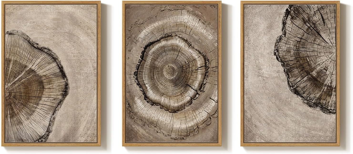 Large Framed Neutral Vintage Wall Art for Living Room, 3 Piece Retro Rustic Tree Ring Prints Canvas Artwork for Walls, Nature Paintings Pictures for Bedroom Hallway Home Office Wall Decor, 24x36 Inch