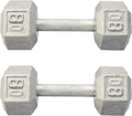 Hydra Fitness Exchange Cast Iron Hex Dumbbell 3 lb to 100 lb (in Single & Pair) - Solid Hexagon Silver Coating Dumbbell Set Strength Training Free Weights for Women & Men Residential Only