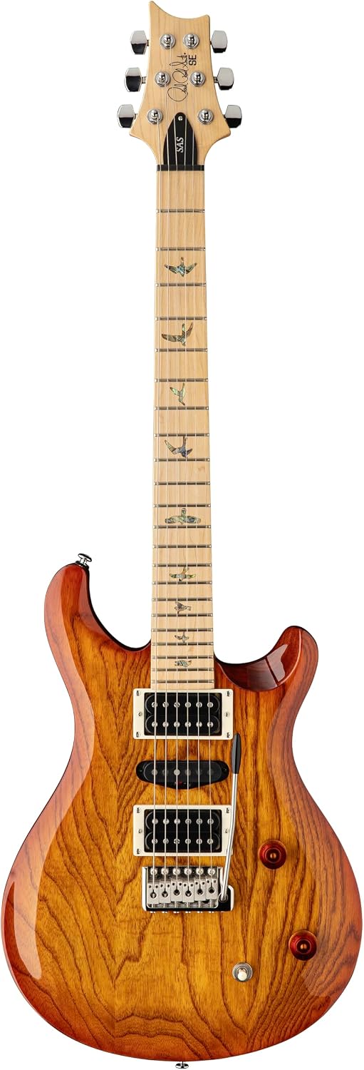 PRS SE Swamp Ash Special Electric Guitar, Vintage Sunburst with Gigbag