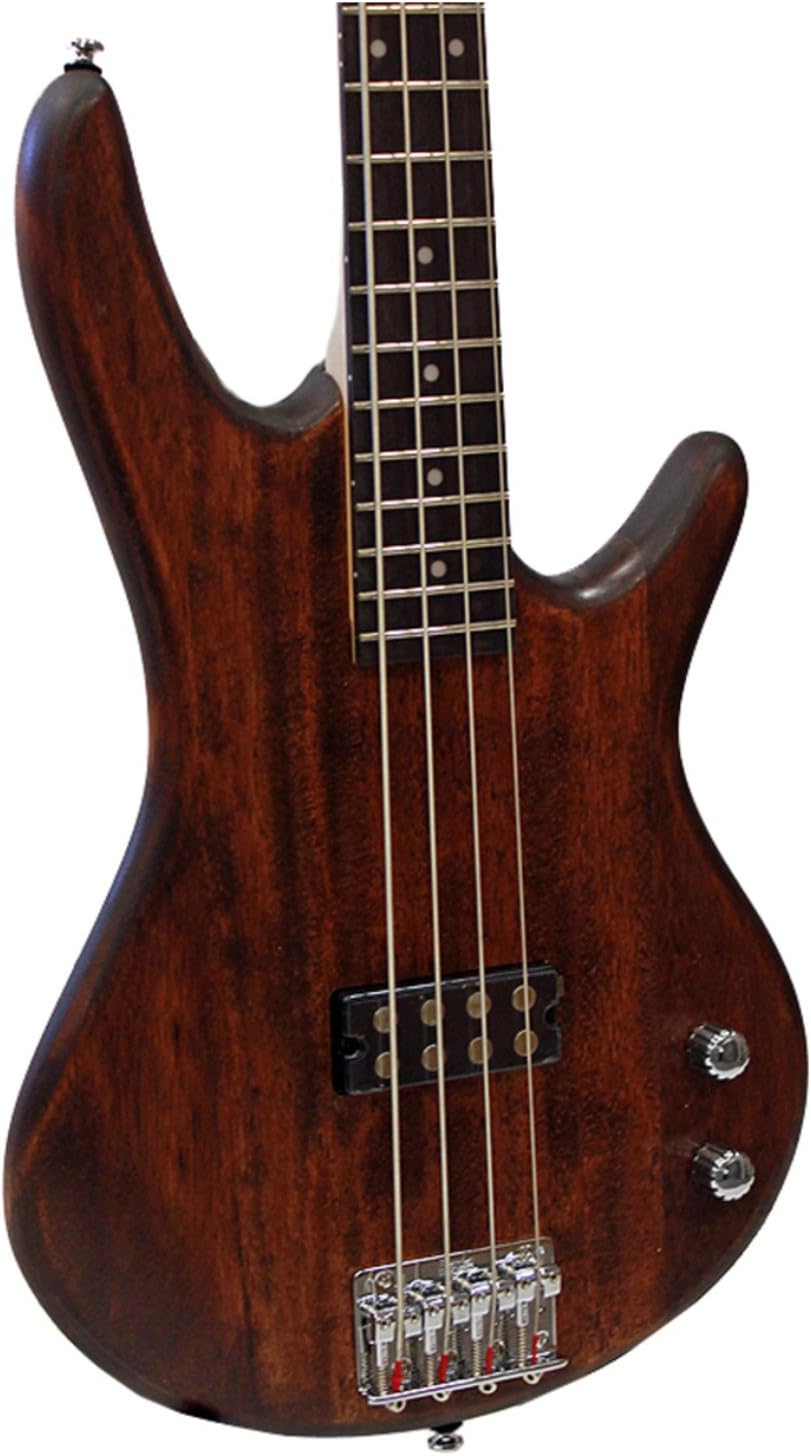 Ibanez GSR100EX GIO - Mahogany Oil