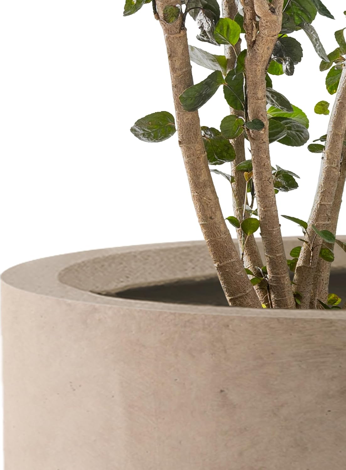 Kante Set of 3 Concrete Planters, Graduated Cylinders 9.8' to 15.7' H 9.8',12.6',15.7' Dia Lightweight Round Pots with Drainage Hole Rubber Plug, Weathered Concrete for Indoor Outdoor, Home Garden