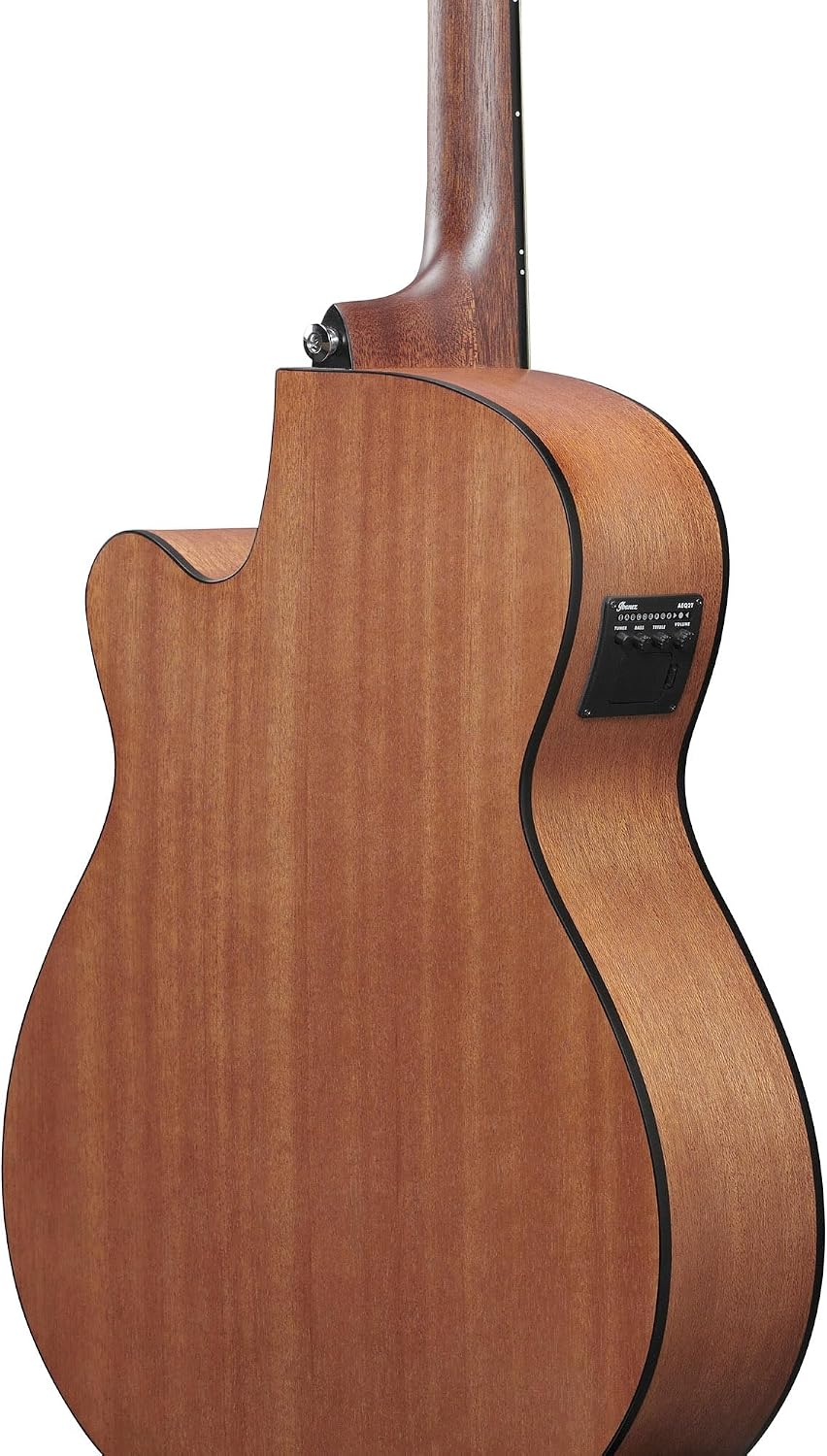 Ibanez PC54CE Acoustic-electric Guitar - Natural