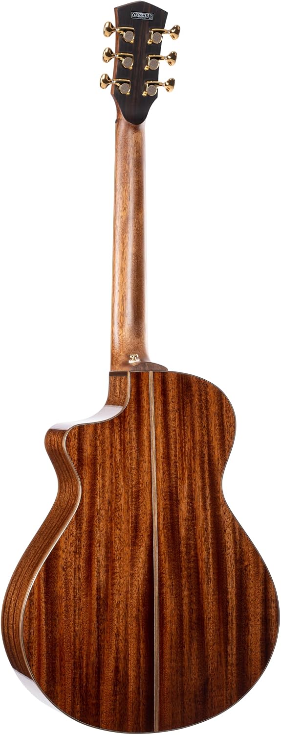 Cort MODERN Masterpiece Series Acoustic-Electric Guitar w/Case