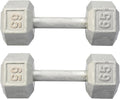Hydra Fitness Exchange Cast Iron Hex Dumbbell 3 lb to 100 lb (in Single & Pair) - Solid Hexagon Silver Coating Dumbbell Set Strength Training Free Weights for Women & Men Residential Only